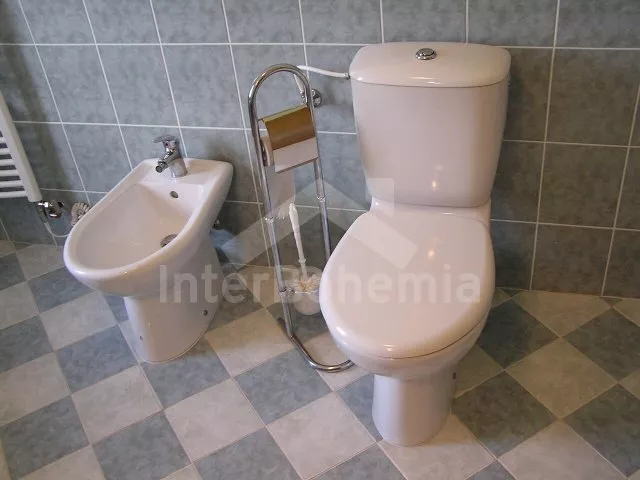 Villa Böhmisch – Mährischen Hochland VC 0108