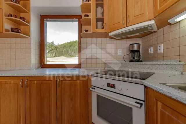 Ferienwohnung Adlergebirge VC 0116