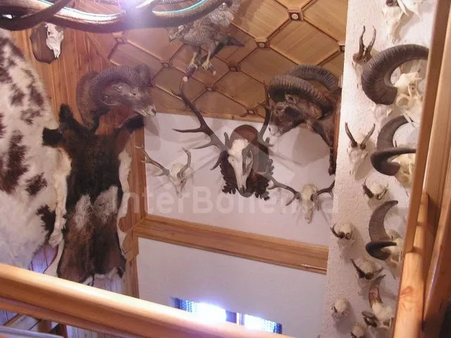 Chata Orlické hory a předhůří VC 0127