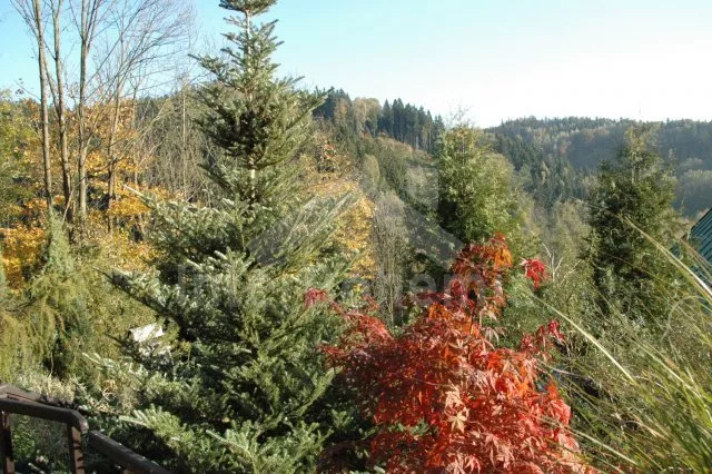 Chata Orlické hory a předhůří VC 0127