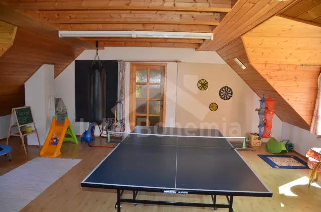 Vila Českomoravská vrchovina VC 0129