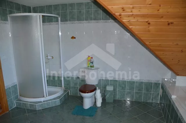 Vila Českomoravská vrchovina VC 0129