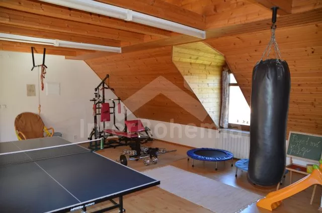 Vila Českomoravská vrchovina VC 0129