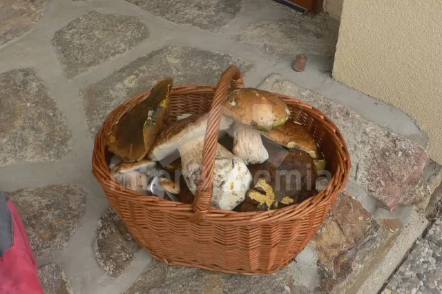 Bungalow Südböhmen – Budweis JC 0124