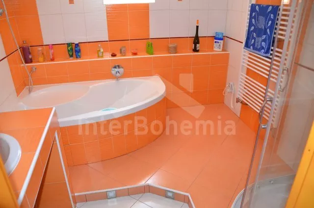 Chalet Lipno Lake JC 0125