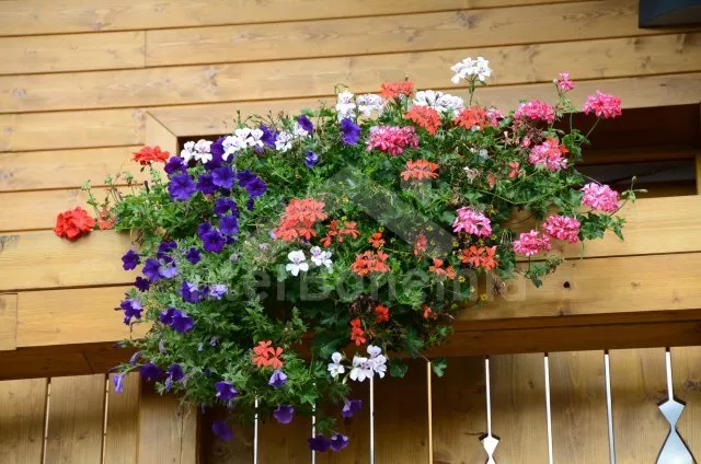 Penzion Jihočeské rybníky JC 0127