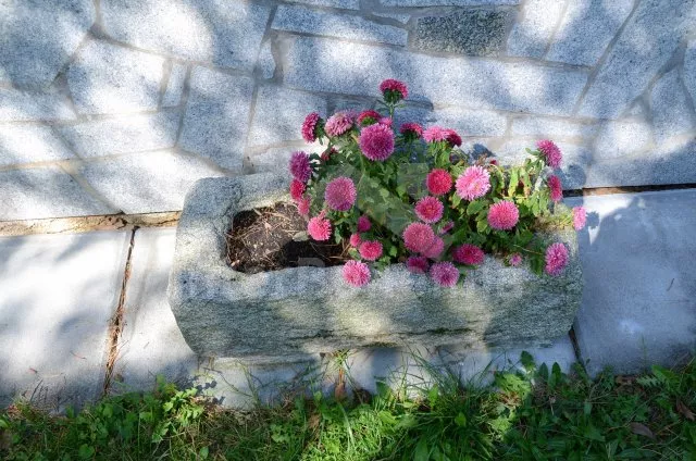 Chata Česká Kanada JC 0130