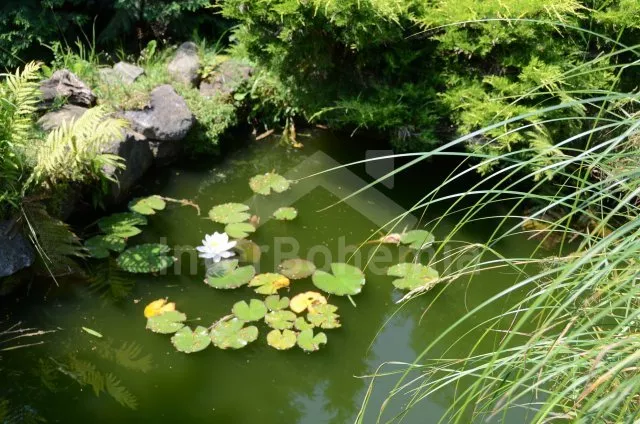 Holiday Home Bohemian Forest JC 0133