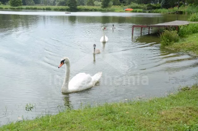 Chata Česká Kanada JC 0135