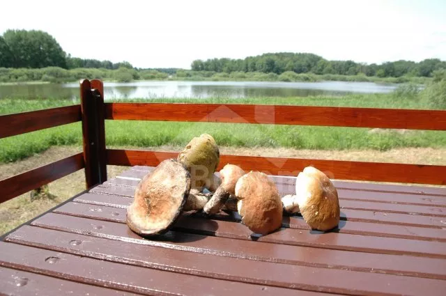 Chata Třeboňsko JC 0150