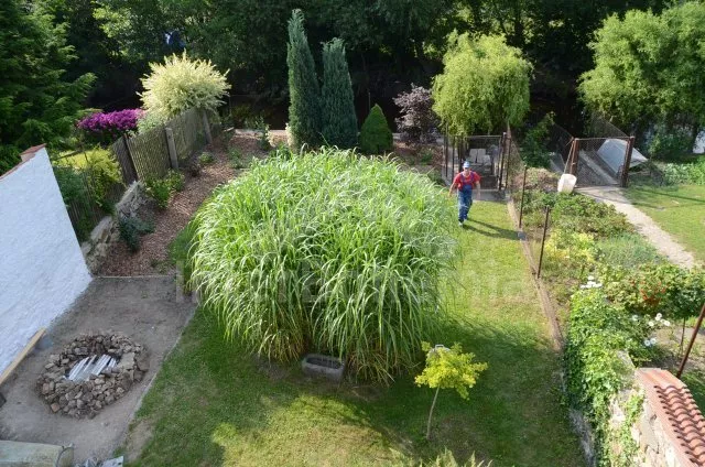 Vakantiehuis Gebied rondom de stad Tábor JC 0168