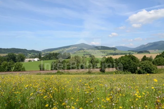 Ferienhaus Altvatergebirge VC 0142