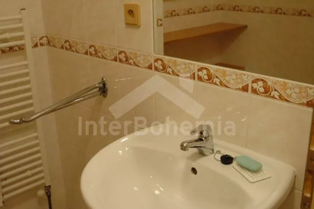 Vila Jeseníky VC 0143