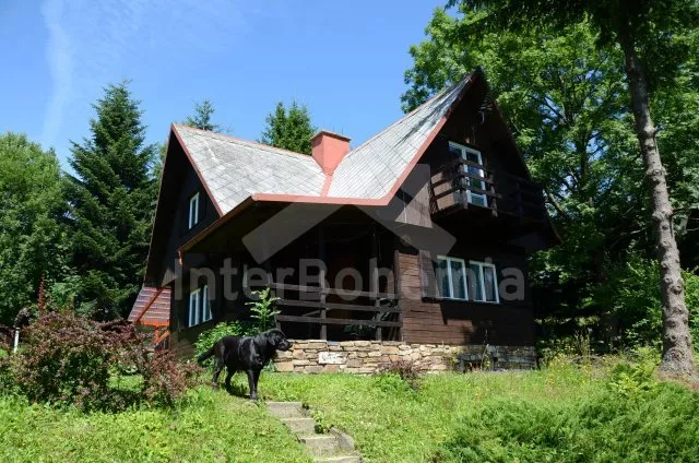 Chata Jeseníky VC 0144