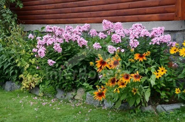 Chalet Bohemian-Moravian highlands VC 0145