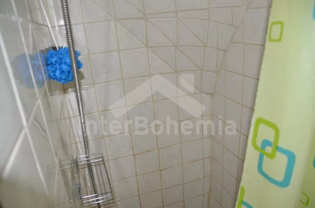 Chalupa Třeboňsko JC 0180