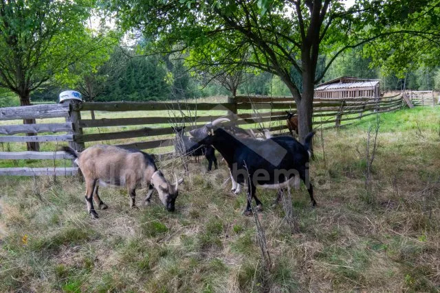 Chalupa Krkonoše a předhůří VC 0154