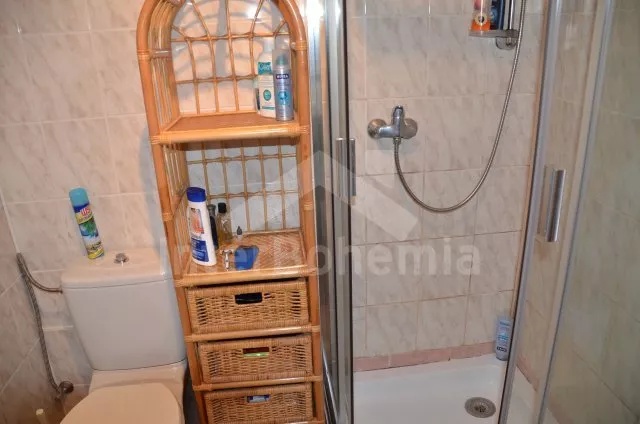 Boerderij Boheems-Moravische hoogvlakte JC 0197