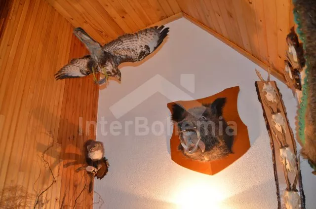 Chata Česká Kanada JC 0198