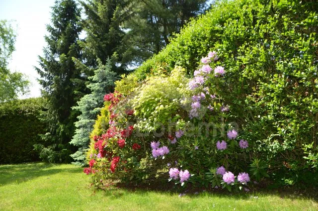 Bungalow Böhmisch – Mährischen Hochland VC 0156