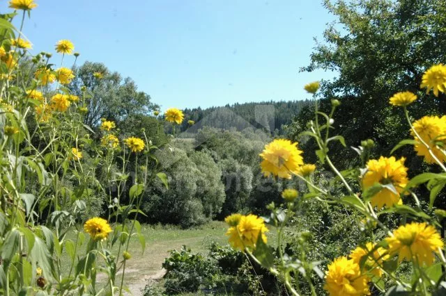 Domek Šumava a předhůří JC 0320