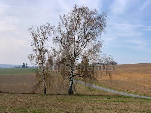 Chalupa Českomoravská vrchovina VC 0158