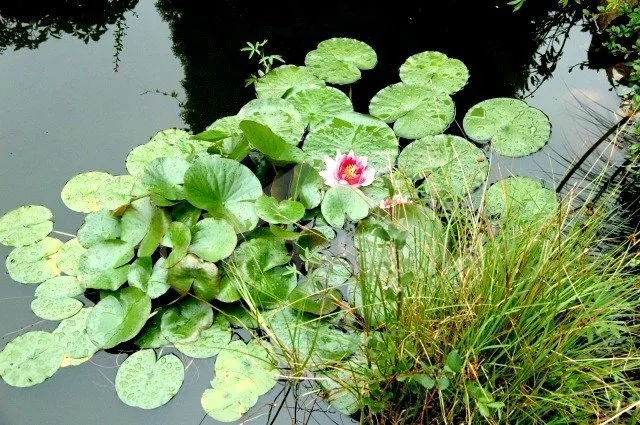 Villa Bohemian-Moravian highlands VC 0159