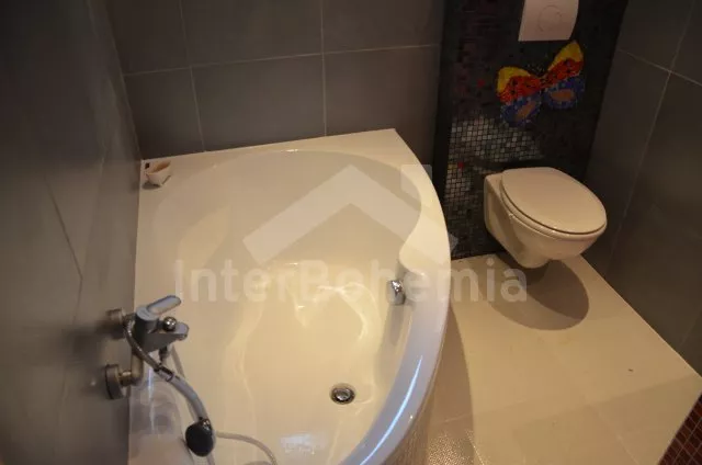 Chata Písek a okolí JC 0210