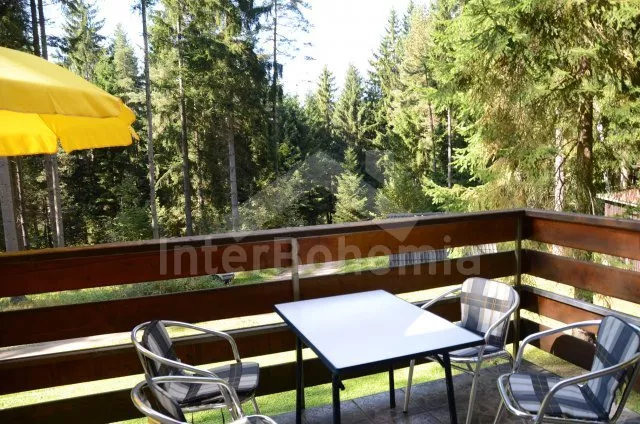 Chalet Lipno Lake JC 0211