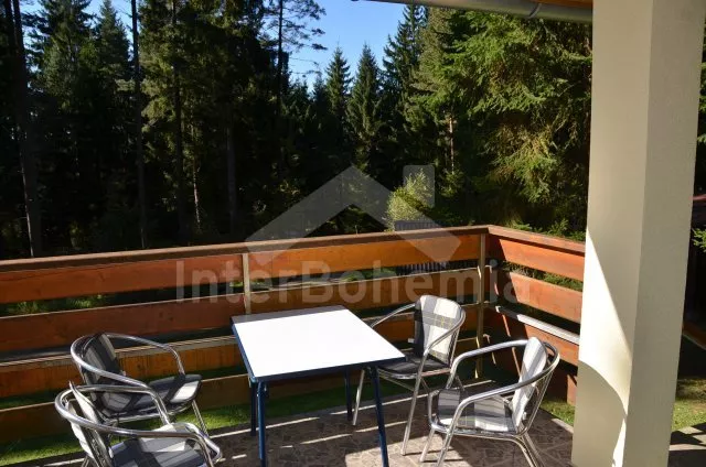 Chalet Lipno Lake JC 0211