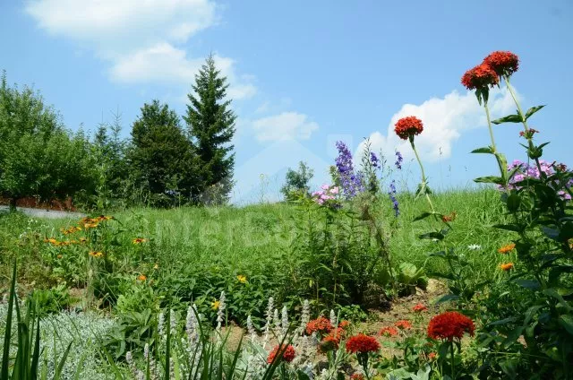 Chalupa Šumava a předhůří JC 0348