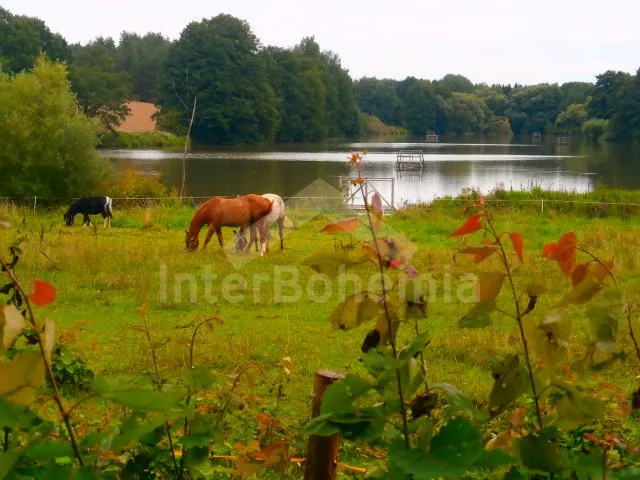 Bungalow Südböhmen – Budweis - Becice JC 0365