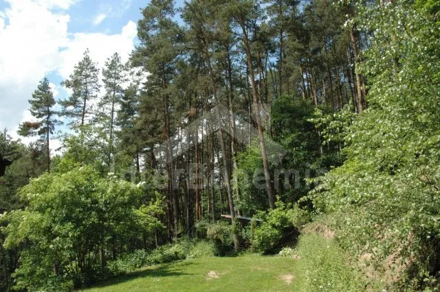 Bungalow Südböhmen – Budweis - Becice JC 0365