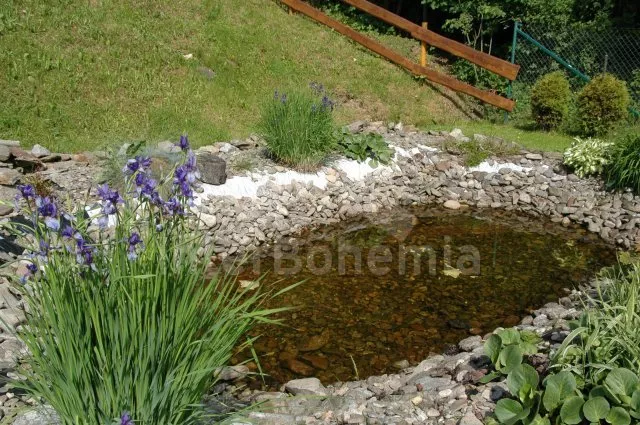 Vakantiehuis Boheems Woud JC 0372