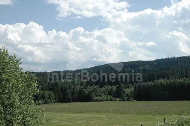 Vakantiehuis Boheems Woud JC 0372