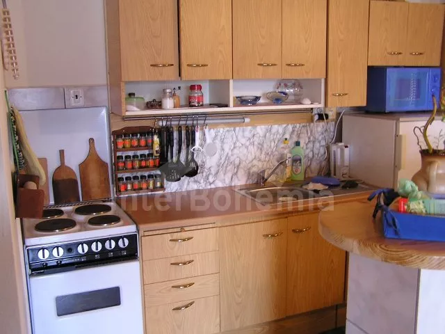 Vakantiehuis Boheems Woud JC 0372