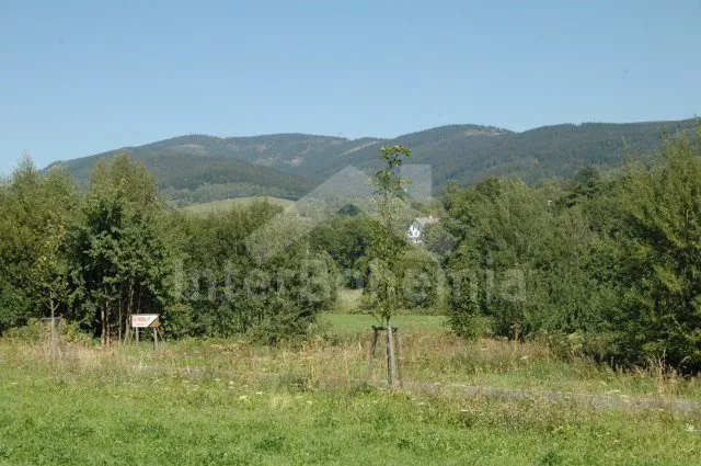 Villa Altvatergebirge VC 0162