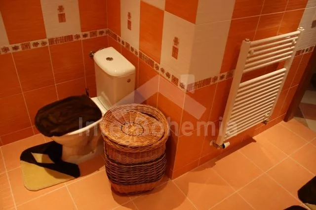 Villa Altvatergebirge VC 0162