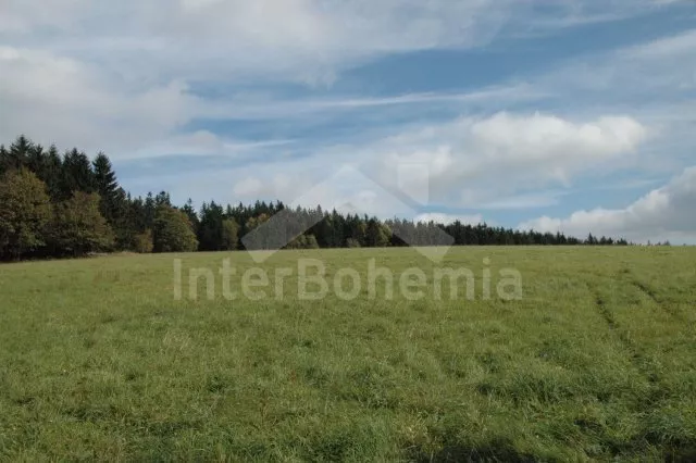 Holiday Home Orlicke Mountains VC 0170