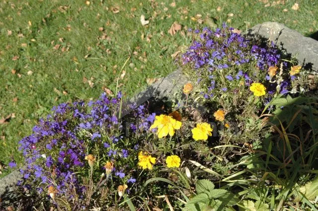 Chalupa Orlické hory a předhůří VC 0170