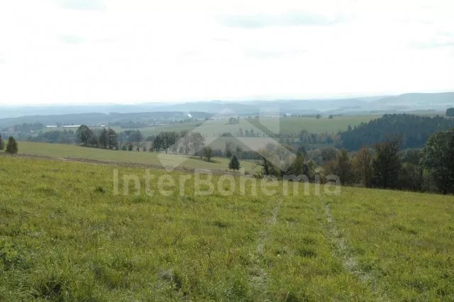 Holiday Home Orlicke Mountains VC 0170