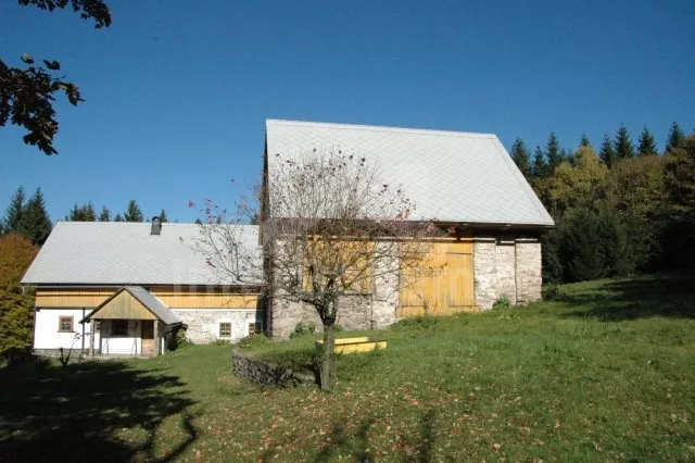 Holiday Home Orlicke Mountains VC 0170