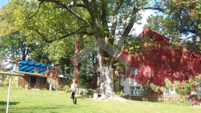 Villa Adlergebirge VC 0171