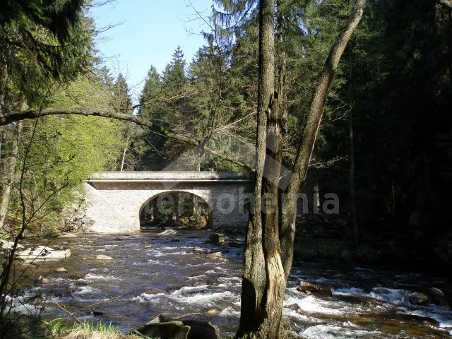 Villa Adlergebirge VC 0171