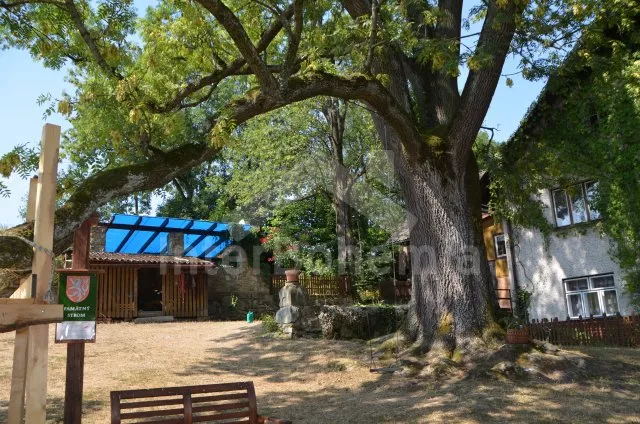 Villa Adlergebirge VC 0171