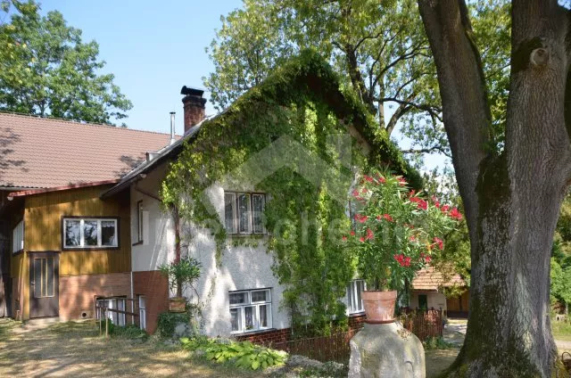 Vila Orlické hory a předhůří VC 0171