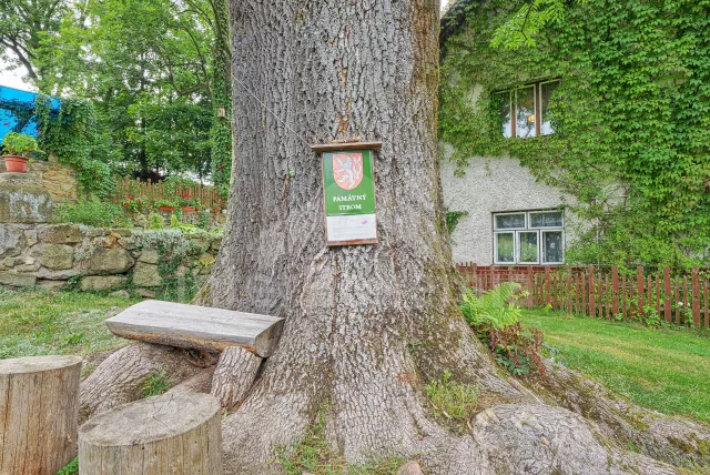 Villa Adlergebirge VC 0171