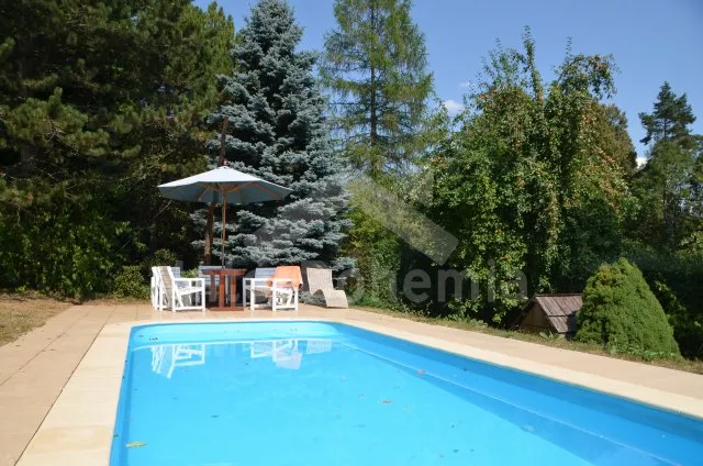 Vila Orlické hory a předhůří VC 0171