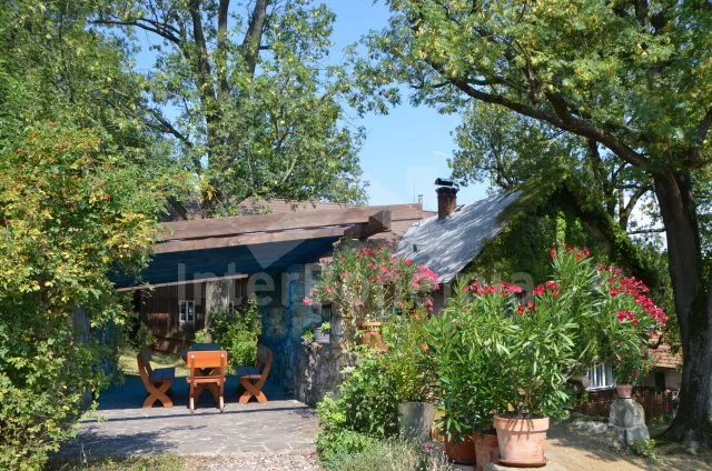 Villa Adlergebirge VC 0171