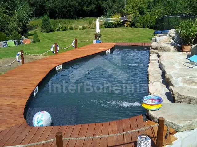 Vila Krušné hory KH 0002